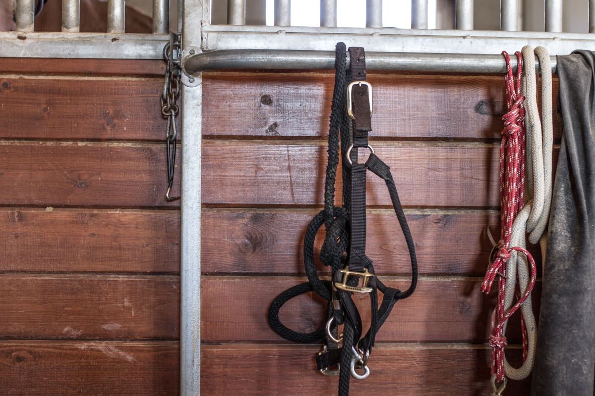 Equestrian Center Gallery | American Ranch